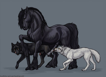 ambiguous_feral ambiguous_gender anatomically_correct anatomically_correct_genitalia anatomically_correct_penis animal_genitalia animal_penis balls big_penis black_balls black_body black_eyes black_fur black_mane black_nose black_penis black_sheath black_tail bodily_fluids braided_mane brown_eyes canine_genitalia canine_penis cheek_tuft claws digitigrade dripping ears_back equine_genitalia equine_penis erection facial_tuft fangs feathering feet fellatio feral feral_on_feral flared_penis fluffy fluffy_tail fur genital_fluids genitals grey_background group hindpaw hooves horizontal_pupils inner_ear_fluff leg_tuft licking licking_lips licking_own_lips lipsticking male male/ambiguous male_feral mane medial_ring mouth_closed neck_tuft open_mouth oral paws penile penis penis_lick penis_tip pink_penis pivoted_ears precum precum_drip pupils quadruped saliva saliva_drip saliva_on_penis sex sheath side_view simple_background tail teeth text toe_claws toes tongue tongue_out trio tuft unguligrade whiskers white_body white_fur white_tail yellow_eyes heatherwolf steppenfire_(character) canid canine canis draft_horse equid equine friesian horse mammal wolf 2021 digital_media_(artwork) url