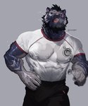 abs anthro beard biceps black_body black_bottomwear black_clothing black_fur black_hair black_pants bodily_fluids bottomwear breath chest_tuft clothed clothing eye_scar facial_hair facial_scar fur gloves_(marking) grey_background grey_body grey_fur hair logo looking_at_viewer male markings motion_blur multicolored_body multicolored_fur nipple_outline nipples pants pecs scar shirt simple_background solo striped_body striped_fur stripes sweat sweaty_clothing sweaty_shirt sweaty_topwear tired topwear translucent translucent_clothing tuft twitter_handle two_tone_body two_tone_fur vein veiny_arms veiny_muscles white_clothing white_shirt white_topwear yellow_eyes suck-nis racha_(suck-nis) felid mammal pantherine tiger 2023 absurd_res artist_name hi_res