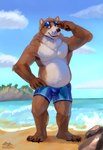 anthro aviator_glasses beach belly blue_clothing blue_eyes blue_swimwear brown_body brown_fur claws clothed clothing cloud detailed_background eyewear eyewear_on_head fur glasses hand_on_hip happy head_tuft island looking_aside male overweight overweight_male pawpads rock sand sea seaside sky slightly_chubby smile solo standing sunglasses sunglasses_on_head swimming_trunks swimwear topless tuft water white_belly white_body white_fur zephyxus mishka_(fishymishy) bear deer hybrid mammal absurd_res hi_res