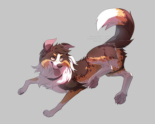 black_collar brown_body brown_fur brown_nose cheek_tuft claws collar collar_only eyebrows facial_tuft feral freckled_face freckles fur grey_background looking_up male midair multicolored_body multicolored_fur multicolored_tail nude open_mouth orange_body orange_eyebrows orange_eyes orange_fur pawpads simple_background snout solo tail tongue tongue_out tuft white_body white_claws white_fur azzai border_collie canid canine canis collie domestic_dog herding_dog mammal pastoral_dog sheepdog 2020 colored colored_sketch digital_drawing_(artwork) digital_media_(artwork) shaded sketch