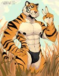 abs anthro black_clothing black_underwear bulge cheek_tuft claws clothed clothing epic_games facial_tuft felid field fortnite fur gesture hand_gesture hand_on_hip hi_res male mammal nipples orange_body orange_fur oscar_(fortnite) outside pantherine pecs shirtless solo striped_body striped_fur stripes tiger tuft underwear underwear_only v_sign wandwess yellow_eyes