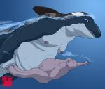 cetacean chubby cock_vore cum human male mammal marine orca overweight penis urethral urethral_penetration vorarephilia vore whale
Rating: Questionable
Score: 0
User: creepidemon
Date: April 24, 2014