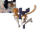 anthro black_nose breasts butt cowlick female fur hair inside long_hair multicolored_body multicolored_fur nude orange_body orange_fur outside plantigrade raised_tail real simple_background solo tail two_tone_body two_tone_fur white_background white_body white_fur window tinygaypirate domestic_cat felid feline felis mammal absurd_res hi_res photography_(artwork) reference_image