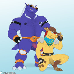 anthro anthrofied balls belt blue_eyes body_hair circumcised claws clothing cowboy_hat crouching darkened_balls darkened_genitalia darkened_penis duo foreskin genitals glans gloves half-erect handwear har hat headgear headwear humanoid_genitalia humanoid_penis knee_pads looking_at_viewer male mostly_nude musclegut muscular muscular_male navel nipple_piercing nipples penis piercing purple_body scarf shoulder_pads simple_background standing tail toe_claws unretracted_foreskin vein veiny_penis yellow_body spelunker_sal capcom dillon's_rolling_western mega_man_(series) mega_man_x_(series) armored_armadillo dillon_(dillon's_rolling_western) armadillo mammal reploid xenarthran 2024 crossover hi_res