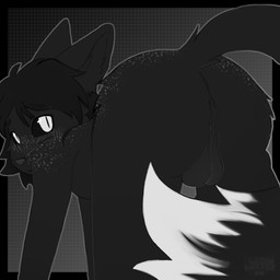 all_fours anthro backsack ball balls balls_outline black_body black_fur black_hair blush blush_lines bulge butt detailed_bulge fluffy fluffy_tail freckled_butt freckled_face freckled_shoulders freckles fur genital_outline genitals hair male pattern_background simple_background solo tail latelattes nanolunar canid canine fox mammal red_fox silver_fox true_fox 1:1 hi_res monochrome