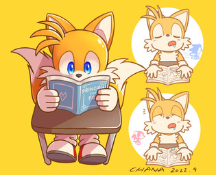 2_tails anthro blue_eyes bodily_fluids book cheek_tuft clothing drooling eyes_closed facial_tuft fingers footwear front_view fur fur_tuft gloves group handwear holding_book holding_object multi_tail open_book open_mouth reading saliva sleeping solo_focus tail trio tuft white_body white_clothing white_fur white_gloves white_handwear white_tail chana sega sonic_the_hedgehog_(series) knuckles_the_echidna miles_prower sonic_the_hedgehog canid canine fox mammal 2022 dated