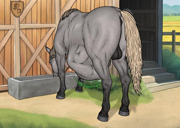 after_vore ambiguous_gender anus balls belly black_anus black_balls drinking fence feral feral_pred genitals grass grey_belly grey_body grey_legs hair human_prey male male_pred plant stairs tail vore white_hair white_tail dragonczech equid equine horse human mammal 2025 watermark