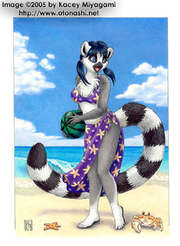 anthro beach blue_eyes chest_tuft clothed clothing cloud detailed_background female food fruit fur melon outside plant sand seaside skimpy sky solo tail text tuft water watermelon kacey natsumi ambient_arthropod ambient_crab ambient_crustacean ambient_sealife ambient_starfish aquatic asterozoan echinoderm lemur mammal primate ring-tailed_lemur strepsirrhine 2005 low_res url