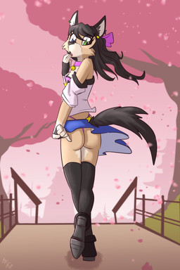 accessory anthro bell bell_collar biped black_clothing black_fingerless_gloves black_footwear black_gloves black_hair black_handwear black_high_heels black_legwear black_nose black_stockings blue_bottomwear blue_clothing blue_eyes blue_skirt bottomwear bow_ribbon breasts butt cheek_tuft cherry_blossom clothed clothing collar countershade_face countershade_fur countershade_torso countershading ear_piercing ear_ring facial_tuft female fingerless_gloves flower footwear fur gloves green_eyes hair hair_accessory hair_bow hair_ribbon handwear heterochromia high_heels legwear long_hair looking_at_viewer looking_back looking_back_at_viewer outside piercing pink_clothing pink_thong pink_underwear plant prunus_(flower) rear_view ribbons ring_piercing shoes skirt small_breasts solo stockings tan_body tan_fur thigh_highs thong topwear tuft underwear upskirt white_body white_clothing white_countershading white_fur white_topwear fuf linette arctic_wolf canid canine canis domestic_dog hybrid mammal wolf 2018 2:3 absurd_res hi_res trans_(lore) trans_woman_(lore)