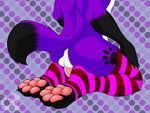 anthro black_paws butt clothing footprint fur genitals legwear male markings pawpads pawprint pawprint_(marking) paws penis pink_pawpads purple_body purple_fur rear_view solo stockings rebel_nightwolfe_(artist) pawalo canid canine canis domestic_dog elkhound mammal spitz 4:3