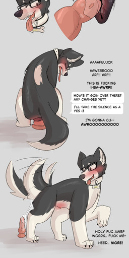 anatomically_correct anatomically_correct_genitalia anatomically_correct_vulva animal_genitalia animal_vulva anthro breasts canine_genitalia canine_vulva collar dialogue dildo electronics eyewear female feral fleshy_tail fur fur_growth gender_transformation genitals genitals_shrinking glasses good_girl growth human_to_feral humanoid_genitalia humanoid_penis in_heat knot knotted_dildo male masturbation mtf_transformation multi_breast penetration penis penis_shrinking penis_to_vagina_tf phone profanity sex_toy snout snout_growth solo species_transformation tail tail_growth teats text transformation transformation_sequence vaginal vaginal_masturbation vaginal_penetration vulva therazzdazzler11 thebaseballfur canid canine canis domestic_dog human mammal absurd_res english_text hi_res long_image tall_image