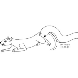 ball_bite clawing_floor cock_and_ball_torture duo feral forced fur genital_torture male male/male nude_male pain rat_tail sharp_teeth simple_background size_difference tail teeth white_background urbanhermit mammal murid murine rat reptile rodent scalie snake 1:1 2003 black_and_white dated monochrome