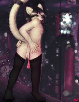 anthro backsack balls butt city clothing cyberpunk dark genitals half-erect humanoid_genitalia humanoid_penis lace legwear male night penis presenting solo spread_butt spread_legs spreading stockings tail teasing sarki domestic_cat felid feline felis mammal digital_media_(artwork) digital_painting_(artwork) painting_(artwork)