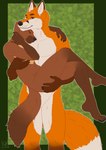 4_toes 5_fingers anthro black_nose border brown_body brown_eyebrows brown_fur dipstick_ears dipstick_tail duo ear_markings eyebrows featureless_crotch feet fingers fur gloves_(marking) green_border inner_ear_fluff leg_markings male male/male markings multicolored_ears orange_body orange_fur socks_(marking) tail tail_markings toes tuft white_inner_ear_fluff sajophoe canid canine fox gulonine mammal marten mustelid musteline