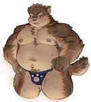 anthro asian_clothing belly blush bodily_fluids bulge clothing east_asian_clothing eyebrows fundoshi fur grey_body grey_fur japanese_clothing male musclegut muscular navel nipples pecs scar solo sweat thick_eyebrows underwear nuhoangxitray lifewonders tokyo_afterschool_summoners moritaka_(tas) canid canine canis domestic_dog mammal hi_res