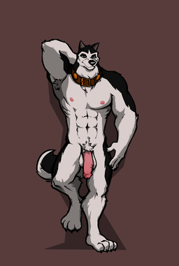 anthro armpit_hair balls body_hair circumcised collar flaccid genitals humanoid_genitalia humanoid_penis male muscular muscular_anthro muscular_male nipples nude penis simple_background solo balto_(series) universal_studios steele_(balto) alaskan_malamute canid canine canis domestic_dog mammal nordic_sled_dog spitz source_request