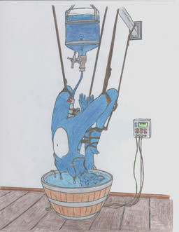 2014 bdsm bondage bound breasts breathplay canine electricity female fox inflation looking_at_viewer mammal nipple_weights nipples nude pussy rimefox rope_bondage sex_toy suspension torture vibrator water_inflation
Rating: Explicit
Score: 3
User: RainbowDash911
Date: April 05, 2014