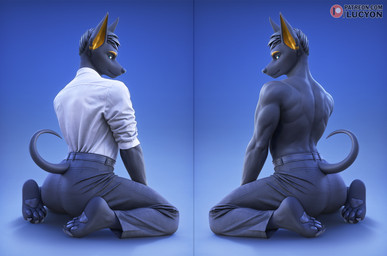 anthro arched_back athletic athletic_anthro athletic_male back_muscles biceps black_body black_nose bottomwear butt clothing collared_shirt dress_pants dress_shirt feet fur kneeling looking_at_viewer looking_back male muscular muscular_anthro muscular_male pants pawpads rear_view shirt simple_background solo tail topwear yellow_body yellow_fur lucyon anubian_jackal canid canine canis jackal mammal 2026 3d_(artwork) digital_media_(artwork) hi_res