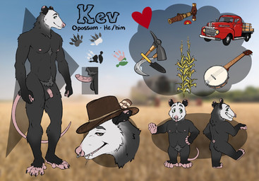anthro athletic athletic_anthro athletic_male balls banjo_(instrument) biting_on_toothpick chibi clothing corn cowboy_hat ear_piercing ear_ring erection facial_piercing flaccid food front_view fur genitals green_eyes grey_body grey_fur hat headgear headwear humanoid_genitalia humanoid_penis looking_at_viewer male male_anthro musical_instrument nipples nose_piercing nose_ring nude nude_anthro nude_male pecs penis piercing pink_body pink_penis plant plucked_string_instrument pubes rear_view ring_piercing smile solo standing string_instrument tail teeth tongue tongue_out toothpick white_body white_fur labradorszn american_opossum mammal marsupial 2024 hi_res model_sheet