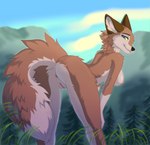 2024 aleu_(balto) anthro anthrofied anus balto_(series) bedroom_eyes bent_over black_nose blue_eyes breasts brown_body brown_fur butt canid canine canis digital_media_(artwork) female fur genitals happy humanoid_genitalia humanoid_pussy hybrid ketty looking_at_viewer looking_back looking_back_at_viewer mammal multicolored_body multicolored_fur narrowed_eyes nature nipples nude nude_anthro nude_female outdoor_nudity outside presenting presenting_hindquarters presenting_pussy pussy seductive smile solo spread_legs spreading standing tail tail_aside thigh_gap universal_studios wolf wolfdog