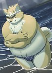 anthro asian_clothing belly big_belly clothing cloud detailed_background east_asian_clothing fundoshi humanoid_hands japanese_clothing kemono male moobs outside overweight overweight_male solo underwear water hisashiyo_0705 tamacolle musashi_(tamacolle) canid canine canis domestic_dog mammal 2024 hi_res