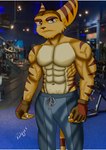 anthro gym macho male solo rockeylombax ratchet_and_clank sony_corporation sony_interactive_entertainment ratchet_(ratchet_and_clank) lombax mammal hi_res