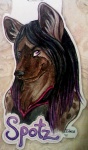 anthro black_hair black_nose brown_body brown_fur fur hair inner_ear_fluff long_hair looking_at_viewer male multicolored_hair outline purple_eyes purple_hair smile solo spots text tuft idess spotz hyena mammal spotted_hyena 2010 bust_portrait character_badge_(artwork) character_name portrait