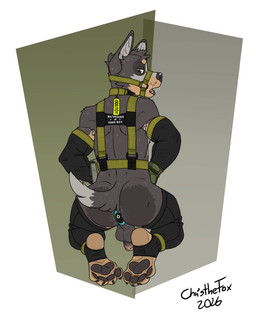 4_toes anthro anus armpit_hair balls barefoot belt belt_pouch body_hair butt buttplug circumcised clothing collar collar_tag countershading ears_up feet foot_fetish foot_focus fur genitals glans gloves grey_body grey_fur handwear kneeling leash legwear looking_at_viewer looking_back male muscular muscular_anthro muscular_male open_mouth pawpads paws penis plantigrade plug_(sex_toy) sex_toy solo stirrup_legwear stirrup_stockings stockings tail teeth teeth_showing text toes tongue white_body white_fur yellow_body yellow_fur bartek22 brazilian_dawg_(ricthecusco) canid canine canis domestic_dog mammal 2026 4:5 absurd_res hi_res signature