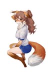 blush bottomwear breasts brown_body brown_fur brown_hair chest_tuft clothing female fur hair human_to_anthro looking_at_viewer pawpads shirt shorts simple_background solo species_transformation tail topwear transformation tuft white_background white_clothing white_shirt white_topwear ora_ozen canid canine fox human mammal 2024 digital_media_(artwork) hi_res