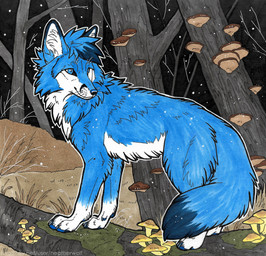 ambiguous_feral ambiguous_gender black_claws black_nose black_sky blue_body blue_eyes blue_fur blue_hair blue_pawpads blue_tail cheek_tuft claws dipstick_ears dipstick_tail ear_markings facial_tuft feral fungus fur glistening glistening_eyes hair inner_ear_fluff leg_markings markings messy_hair mouth_closed multicolored_ears mushroom neck_tuft night outside pawpads plant quadruped short_hair side_view sky socks_(marking) solo star tail tail_markings tree tuft whiskers white_body white_fur white_inner_ear_fluff heatherwolf canid canine fox mammal detailed hi_res signature