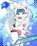 accessory anthro card_template harness headband male male_anthro nude pawpads running simple_background sled_harness snow solo tongue tongue_out hit_ton_ton dogsled_club retaru_(hit_ton_ton) canid canine canis domestic_dog mammal nordic_sled_dog samoyed spitz character_name