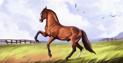 animal_genitalia black_sheath brown_body brown_fur brown_hooves cloud day fence feral fur genitals grass green_eyes hooves leg_markings male markings outside plant sheath socks_(marking) solo tail adalavolokos ambient_bird equid equine horse mammal 2017 dated shaded