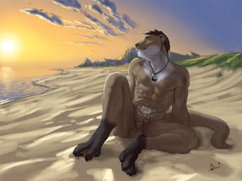 5_toes abs animal_genitalia anthro balls beach biceps big_muscles cloud detailed_background feet fully_sheathed genitals hindpaw male membrane_(anatomy) muscular muscular_anthro muscular_male nature nude outside paws pecs sand sea seaside sheath sky solo sun sunset tail toes water webbed_feet lion21 blackymoon mammal mustelid otter 2012