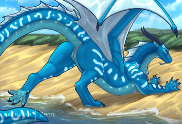 anus blue_body claws dripping_wet female feral genitals glowing membrane_(anatomy) membranous_wings solo stretching tail vulva wings conditional_dnp zenrii mythology wings_of_fire tsunami_(wof) dragon mythological_creature mythological_scalie scalie seawing_(wof) absurd_res hi_res