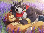 anthro black_nose blue_eyes chest_tuft claws countershading duo fangs flower lavender_(flower) lying male nipples pecs plant teeth tuft takemoto_arashi adastra adastra_(series) echo_project amicus_(adastra) ross_(rossciaco) canid canine canis mammal wolf 2020