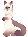 ambiguous_gender anthro arm_tuft big_feet big_tail black_eyes brown_body brown_ear_tips brown_fur brown_tail cheek_tuft circle_eyebrows dipstick_ears ear_markings elbow_tuft eyebrows facial_tuft feet fluffy fluffy_tail fur inner_ear_fluff knee_tuft leg_tuft looking_at_viewer multicolored_body multicolored_ears multicolored_fur nude nude_anthro raised_arm ruff side_view simple_background solo standing tail tuft two_tone_body two_tone_fur white_background white_body white_fur shusheng200520 domestic_cat felid feline felis mammal siamese full-length_portrait hi_res portrait