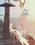 after_cloacal after_sex avian_feet beak biped bipedal_feral blush bodily_fluids cum cum_drip cum_in_cloaca cum_inside dripping duo feathers feral genital_fluids lying male male/male on_back speech_bubble text white_body white_feathers yellow_beak lizardlars avian bird gull lari larid 2025 digital_media_(artwork) english_text hi_res