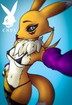 anthro armwear bikini breasts clothed clothing countershading female legwear lingerie micro_bikini nipple_outline partially_clothed selfie solo stockings swimwear thong two-piece_swimsuit under_boob underwear couldnotparseline bandai_namco digimon canid digimon_(species) mammal renamon absurd_res hi_res