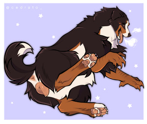 anatomically_correct anatomically_correct_genitalia anatomically_correct_vulva animal_genitalia animal_vulva anus black_body black_fur blush breath brown_body brown_eyes brown_fur canine_genitalia canine_vulva female feral fur genitals open_mouth panting pawpads presenting presenting_vulva solo tail tongue tongue_out vulva white_body white_fur cedrato bernese_mountain_dog canid canine canis domestic_dog enfield mammal molosser mountain_dog swiss_mountain_dog