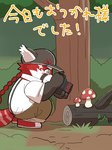 anthro blush braided_hair braided_ponytail clothing crouching fungus fur hair hat headgear headwear male mushroom photographer ponytail red_body red_fur solo young rorondo4 lifewonders tokyo_afterschool_summoners zhurong_(tas) ailurid mammal red_panda 3:4