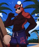 abs anthro beach clothing day eyewear fur hand_on_hip head_tuft jewelry male muscular muscular_anthro muscular_male necklace nipples outside palm_tree pecs plant seaside smile solo standing sunglasses swimming_trunks swimwear tree tuft water rygel_spkb ailurid mammal red_panda 2021 hi_res