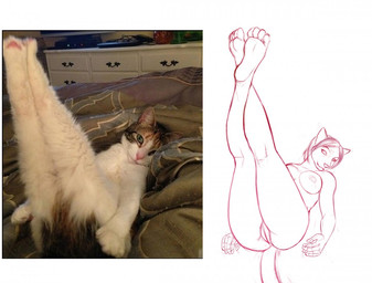 anthro anus bed bedroom breasts butt comparison dresser female feral furniture genitals humor inside legs_up looking_at_viewer lying nude on_back on_bed paws pink_nose presenting presenting_vulva real simple_background solo vulva paintchaser domestic_cat felid feline felis mammal photography_(artwork) reference_image sketch