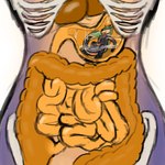 anatomy anthro anthro_pred anthro_prey bodily_fluids bone digestive duo female female_pred full_tour fur guts hair horn internal intestines large_intestines liver macro male male/female male_prey nude oral_vore organs predator/prey purple_body purple_fur safe_vore saliva simple_background size_difference skeleton small_intestines soft_vore stomach stomach_acid tail vore x-ray_view superplus ark_survival_evolved mythology kabarga(character) kustrin deer dragon mammal managarmr moschid musk_deer mythological_creature mythological_scalie reptile scalie 1:1 absurd_res digital_media_(artwork) hi_res