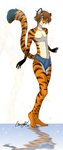 anthro blue_briefs blue_clothing blue_underwear briefs clothing colored_seam_underwear grey_seam_underwear hair male solo two_tone_briefs underwear garurykai saba felid mammal pantherine tiger hi_res