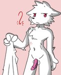 anthro clothing clothing_grab fur genitals male penis red_eyes slim solo undressing white_body white_fur demon3sigma changed_(video_game) dr._k_(changed) canid canine canis mammal wolf hi_res