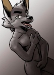 anthro black_body black_fur black_nose covering covering_crotch covering_self cute_fangs eyebrows fangs fur hair hand_on_chest looking_at_viewer looking_away male nude open_mouth solo teeth thick_eyebrows tongue tongue_out young young_anthro harmarist anubis_and_the_buried_bone egyptian_mythology middle_eastern_mythology mythology anubis anubian_jackal canid canine canis deity jackal mammal