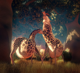 anthro belly belly_expansion big_belly expansion feral head_first inflation male neck_bulge same_size_vore savanna simple_background vore zefirotreddi felid giraffe giraffid lion mammal pantherine 2016 3d_(artwork) digital_media_(artwork)