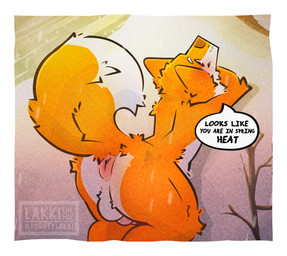 animal_genitalia animal_penis anthro anus balls blush butt canine_genitalia canine_penis fluffy fur genitals knot looking_at_viewer male orange_body orange_fur penis presenting presenting_hindquarters puffy_anus snow solo submissive text thick_thighs lakkithefox canid canine fox mammal red_fox true_fox absurd_res english_text hi_res watermark