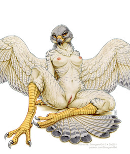 anthro areola beak biped breasts butt claws feathers feet female fingers front_view genitals looking_at_viewer navel nipples nude nude_anthro nude_female sitting smile solo tail text toes vulva wings shinigamigirl avian bird hi_res url