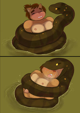 ambiguous_gender anthro asphyxiation coiling_around_body duo erection feral imminent_vore male male/ambiguous overweight overweight_male unwilling_prey vore young himankumalover futoko anaconda boa_(snake) boinae domestic_cat felid feline felis mammal reptile scalie snake hi_res